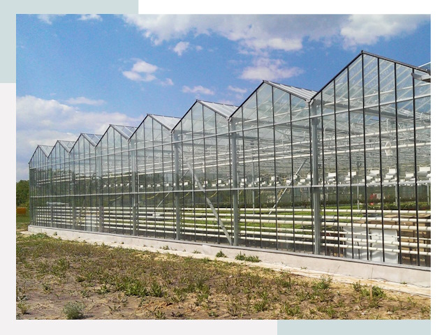 Строительство теплиц в Ессентуки от 612 руб. за м²